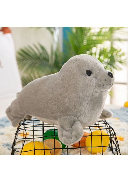 Peluş Oyuncak Parlak Yıldız Yastık Romantik Renkli Beş Köşeli Yıldız Dekorasyonu 250G35*40Cm (Yurt Dışından)