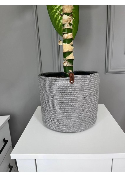 Dekoratif Saksı