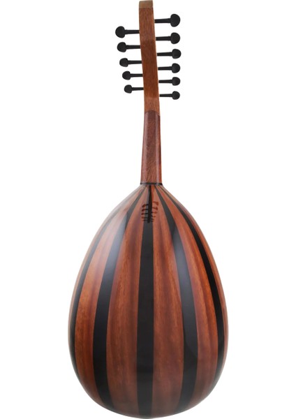 Sultan Instruments BL1006 Öğrenci Ud (Çift Maun & Ceviz)