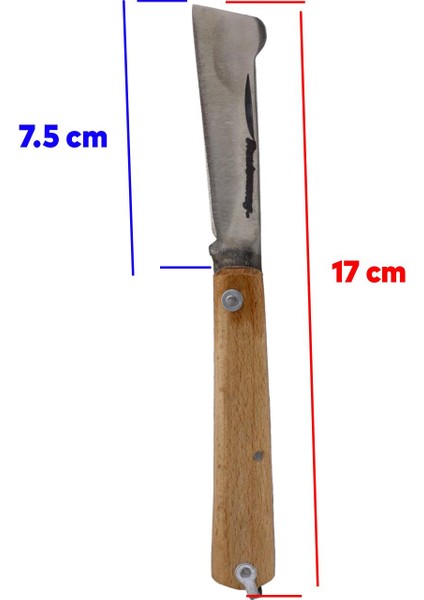 Aşı Bıçağı Profesyonel Çelik Tepeli Uçlu Bağ Ağaç Budama Aşı Çakısı 170 mm Ahşap Saplı Bıçak Çakı