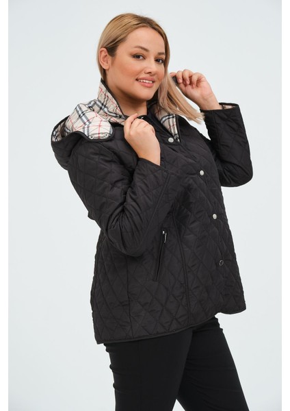 Güzide Kadın Mevsimlik Kısa Kapitone Mont modelleri