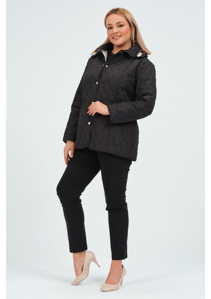 Güzide Kadın Mevsimlik Kısa Kapitone Mont fırsatları