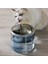 Otomatik Kedi Sulukları Su Pınarları (Yurt Dışından) 2