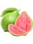 Guava Ağacı 2