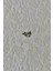 Nature Cerrahi Çelik Zirkon Taşlı Içi Boş Kalp 1cm Piercing 2
