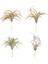 Paket Yapay Ananas Çim Hava Bitkileri Sahte Çiçekler Sahte Akın Tillandsia Bromeliads Ev Bahçe Dekoru (Yurt Dışından) 1