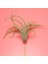 Paket Yapay Ananas Çim Hava Bitkileri Sahte Çiçekler Sahte Akın Tillandsia Bromeliads Ev Bahçe Dekoru (Yurt Dışından) 4