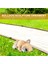 Fransız Bulldog Heykel Süs Köpek Heykeli Heykelcik Açık Bahçe Dekor Hediye-Yalan Köpek (Yurt Dışından) 4