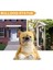 Fransız Bulldog Heykel Süs Köpek Heykeli Heykelcik Açık Bahçe Dekor Hediye-Oturan Köpek (Yurt Dışından) 5