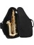 Saksafon Gig Bag Oxford Kumaş Alto Saks Çift Omuzlu ve Ekstra Depolama Alanlı Kalınlaştırılmış Sırt Çantası Müzik Yüklü (Yurt Dışından) 5