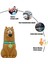 Dizüstü Bilgisayar Için 2g Karikatür Köpek Memory Stick Usb2.0 Kalem Sürücü USB Stick (Yurt Dışından) 3