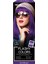 Flashy Colors Yarı Kalıcı Saç Boyası Menekşe Moru-Violet Purple 1