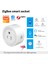 Etic~ Tuya Zigbee Akıllı Soketi Doğrudan Alexa Tuya'ya ve Diğer Zigbee Ağ Geçidi Akıllı Wifi Kontrolüne Bağlanır (Yurt Dışından) 1
