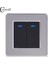 Coswall Paslanmaz Çelik Panel 2 Gang 1 Yollu Işık Anahtarı Açma / Kapama Duvar Anahtarı LED Göstergesi ile 16A Siyah Renk (Yurt Dışından) 2