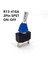R13-416 Serisi 12MM Su Geçirmez Araba Geçiş Anahtarı Plastik Kol 20A/24VDC 40A/12VDC (Yurt Dışından) 2