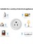 Tuya Zigbee Akıllı Soketi Doğrudan Alexa Tuya'ya ve Diğer Zigbee Ağ Geçidi Akıllı Wifi Kontrolüne Bağlanır (Yurt Dışından) 3
