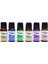 Zen Assorted Fragrance Oil 24'lü Set 4