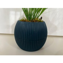 Trendkent Mini Saksıda Yapay Çiçek Saz Grass Demeti Gerçek Yosunlu Mini Saksı Aranjman