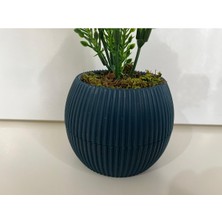 Trendkent Mini Saksıda Yapay Çiçek Yeşil Beyaz Lavanta Demeti Gerçek Yosunlu Mini Saksı Aranjman