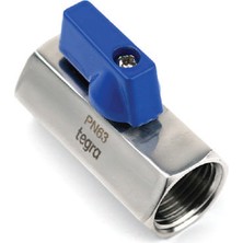 Tegra Mini Küresel Vana Dişi/dişi 316