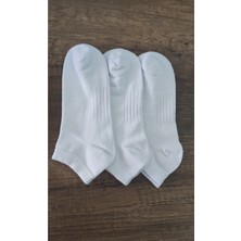 Leement Socks Kadın 3 Çift Bambu Patik Çorap Dikişsiz Yumuşak Dokulu