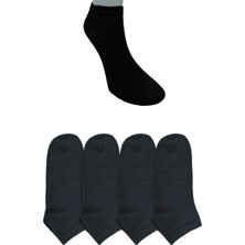 Leement Socks Erkek Dikişsiz 4 Çift Bambu Kısa Patik Çorap