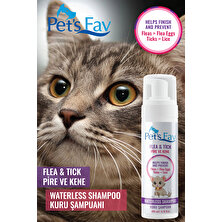 Pets Fav Kedi Bit Pire Kene ve Parazit Önleyici Kuru Köpük Şampuanı