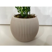 Trendkent Mini Saksıda Yapay Çiçek Yeşil Beyaz Lavanta Demeti Gerçek Yosunlu Mini Saksı Aranjman