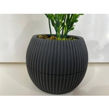 Trendkent Mini Saksıda Yapay Çiçek Yeşil Beyaz Lavanta Demeti Gerçek Yosunlu Mini Saksı Aranjman