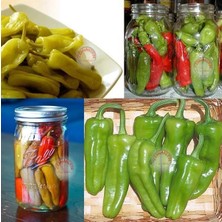 Zengarden Pepperoncini Acı Biber Tohumu Geleneksel Italyan