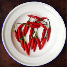 Zengarden Piri Piri Chili Biberi Tohumu Capsicum Baccatum