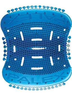 Geseus Palex Pisuvar Süzgeç Koku Giderici 30GÜN Parfüm ETKILI-10ADET-MAVİ