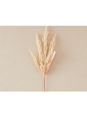 English Home Reed Grass Bush Tek Dal Yapay Çiçek 46 cm Krem