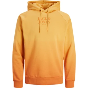 Jack & Jones Kapüşon Yaka Koyu Kahve Erkek Sweatshırt 12236151_JJFADE Sweat Hood