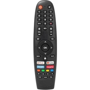 Blaupunkt BL43135G Android Smart Tv Kumanda-No Mic.