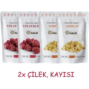 The Snack Haus Freeze Dried Çilek, Kayısı