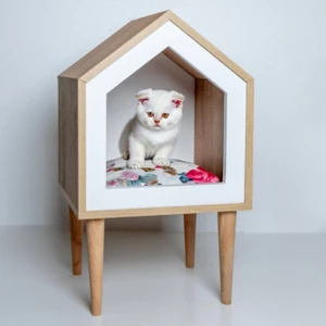 Kedi Veranda