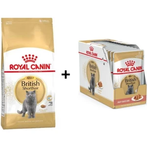 Royal Canin British Shorthair Yetişkin Kedi Maması 10 kg + 12 Adet Royal Canin British Shorthair Yaş Kedi Maması 85 gr