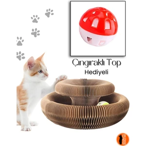 Kedi Tırmalama Oyuncağı / Sihirli Kedi Oyuncağı / Çıngıraklı Tırmalama Panosu