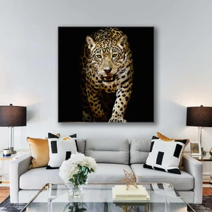 SML Tablo Vahşi Leopar Growling Leopard Afrika Aslan Kare Kanvas Tablo