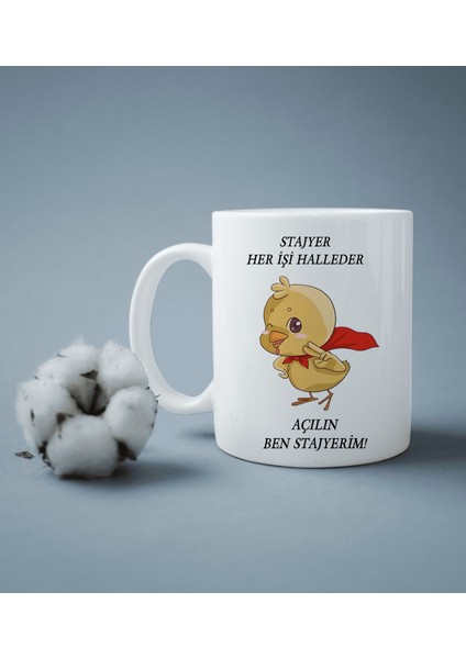 Stajyer Her Işi Halleder Baskılı Kupa Bardak