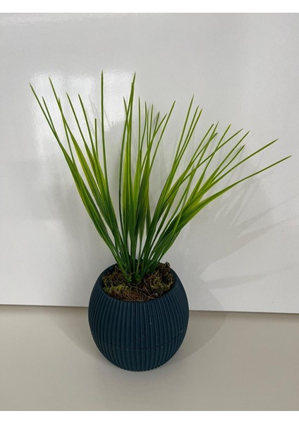 Mini Saksıda Yapay Çiçek Saz Grass Demeti Gerçek Yosunlu Mini Saksı Aranjman