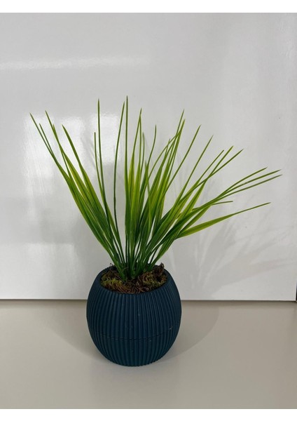 Mini Saksıda Yapay Çiçek Saz Grass Demeti Gerçek Yosunlu Mini Saksı Aranjman modelleri