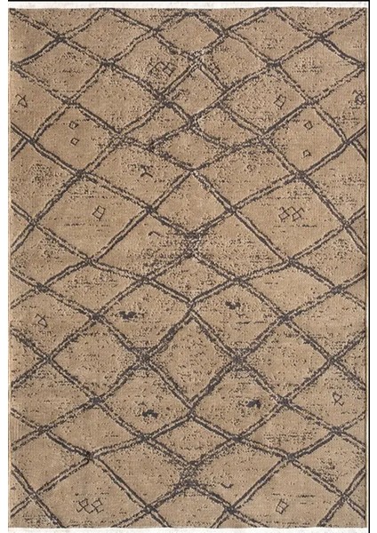 Halı Aqua Pamuklu Kolay Temizlenen Yumuşak Modern Dokuma Kesme Kilim Halı fırsatları