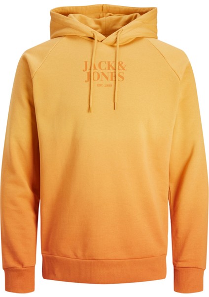 Kapüşon Yaka Koyu Kahve Erkek Sweatshırt 12236151_JJFADE Sweat Hood