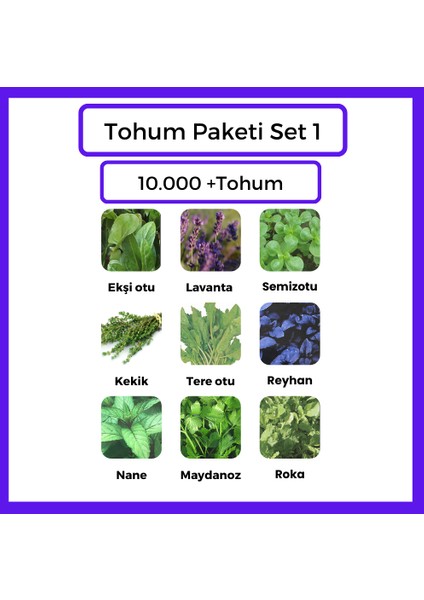 Tohum Paketleri Set 1