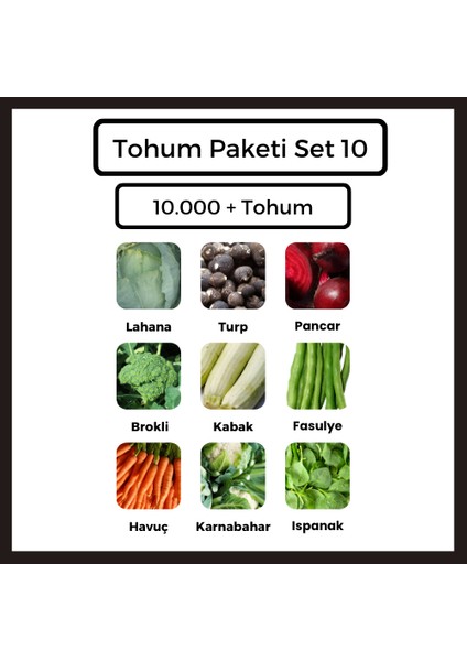 Tohum Paketi Seti 10