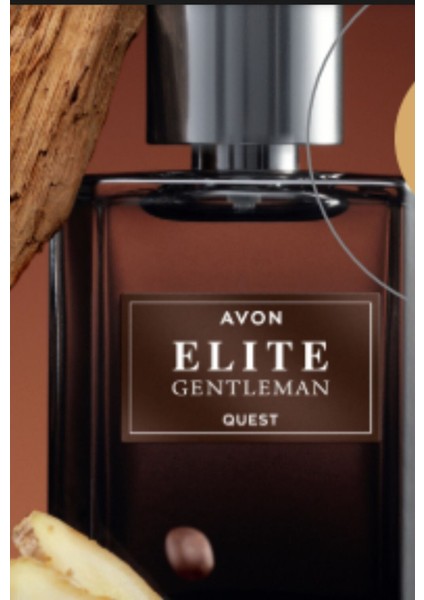 Elite Gentleman modelleri