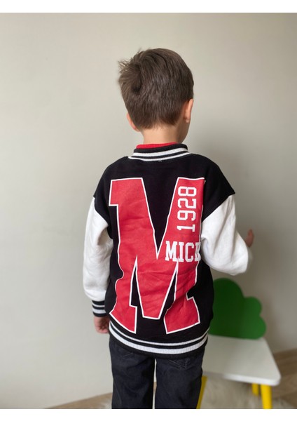 Mickeymause Kolej Montu modelleri
