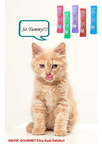 Meow Gourmet Krema Kedi Ödülü, Dana Etli ve Somonlu, Tahılsız, 5 Tüp Içeren 60 Gramlık Paket indirimleri